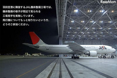 【夏休み】JAL工場見学で機体整備を学ぼう 画像
