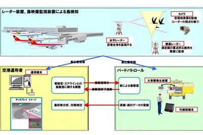 NEC、航空機との衝突を防ぐ「鳥位置検出ソリューション」発売 画像