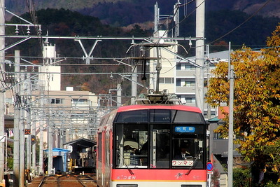 叡山電車のまわりで紅葉ライトアップ…11月10~30日 画像