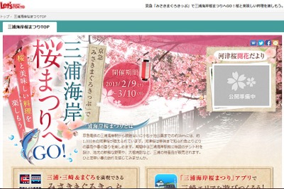 京急電鉄、「三浦海岸の河津桜とマグロを楽しもう」キャンペーンを実施 画像
