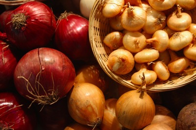 タマネギの中に覚せい剤１４０万錠　タイ北部で摘発 画像