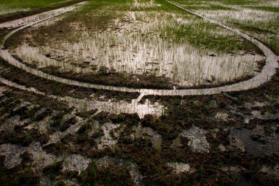 新郎２３歳、新婦８歳　アユタヤで水牛の結婚式 画像