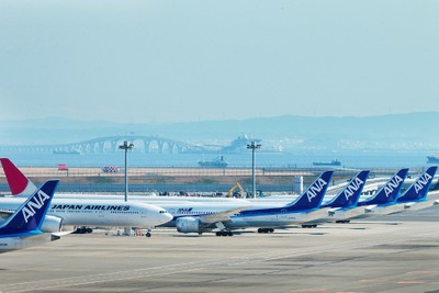 ANA、2014年春に490人程度を採用、客室乗務員を採用増 画像