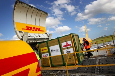 DHL、「エクスプレスエンベロープ」にカーボンニュートラルを導入 画像