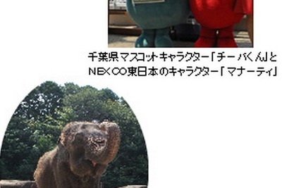関越道・高坂SAにゾウが登場…圏央道開通記念 画像