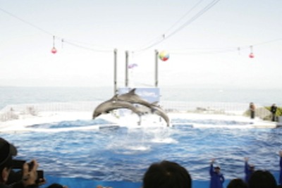 南海フェリー、「みさき公園わくわくきっぷ」を発売 画像