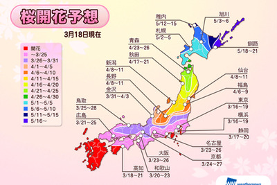 ウェザーニューズ、第3回桜開花予想を発表…今年はスピード開花 画像