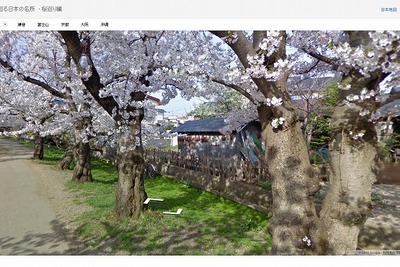Google、ストリートビューで巡るお花見スポット…50か所を紹介 画像