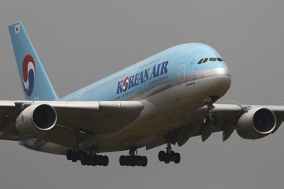 大韓航空、成田-ホノルル直行便就航記念でDUTY FREEとコラボ 画像