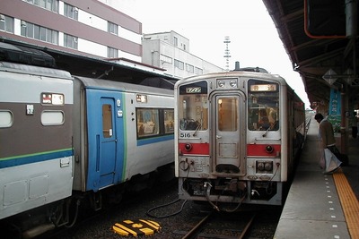 JR北海道、花咲線で減速運転を試行…タンチョウとの衝突事故を防止 画像