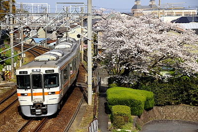 JR東海、弁天島花火大会に合わせ臨時列車30本を運転…7月6日 画像