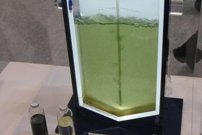 【再生可能エネルギー世界展示会】石油を作る藻、更に生産性を高める研究進む 画像