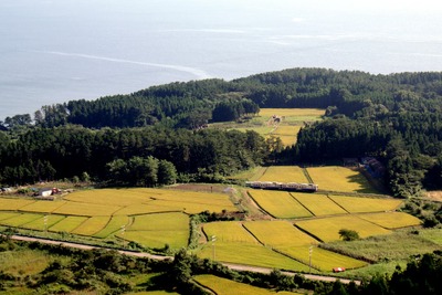 【読者だより】田園地帯を往く五能線の気動車 画像