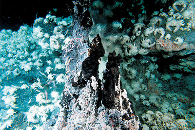 海洋研究開発機構など、海底から噴出する熱水を利用した燃料電池型発電に成功 画像