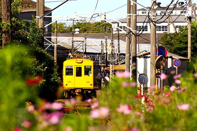 銚子電鉄、車両不足で大幅減便のダイヤ改正…11月21日 画像