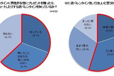 逆バレンタイン、8割以上の女性がドライブデートを支持…パナソニック調べ 画像