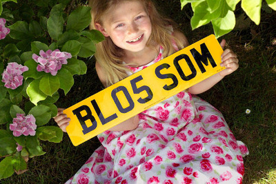 自然を愛するナンバープレート、とか。 画像