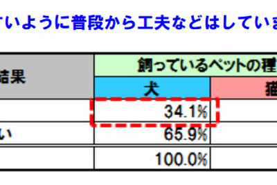 ペットとドライブ、約3割の飼い主が工夫をしていると回答 画像