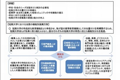 短大進学率減少の歯止めへ…文科省が新たな指針を提案 画像