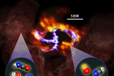 慶応大、巨大ブラックホールを周回するガスリンクの化学組成を解明 画像