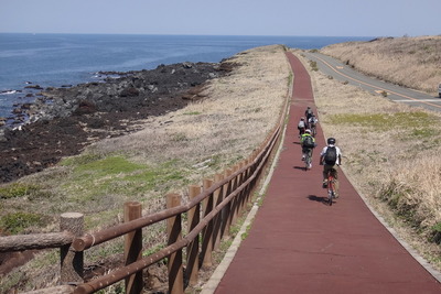 1周40km、伊豆大島をお得にサイクリングしてみた 画像