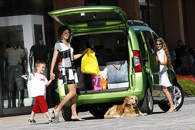 子育て家族の車所有率は8割、出産を機に6割が車購入 画像