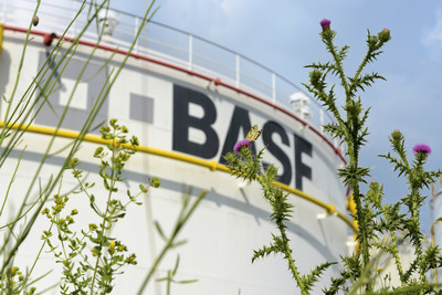 BASF、化学品・石油・ガス部門好調で増収増益…2014年第3四半期決算 画像