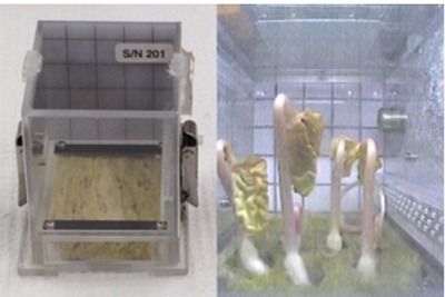ISSの「きぼう」日本実験棟でライフサイエンス実験を実施…東北大学の研究グループ 画像
