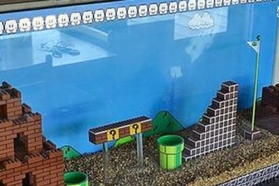 サカナを押しのけ、水槽の中にスーパーマリオのステージを手作りしたファン 画像