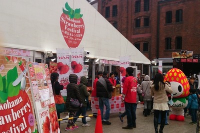 シーズン到来…こだわりのいちごスイーツが楽しめるイベント開催 画像