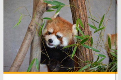 近づくだけで、スマホにイベント・グルメ情報が届く次世代自販機 画像