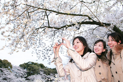 「乗り継ぎがないので、のんびりおしゃべり」…女子が惚れる「バス旅」の魅力 画像