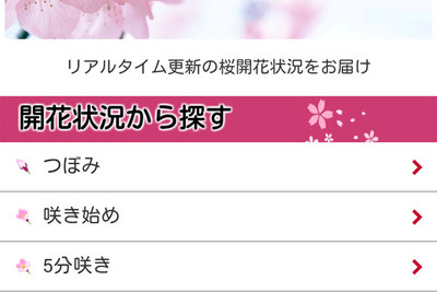 MapFan、お花見特集を無料公開…全国1000か所以上の名所情報と開花状況 画像