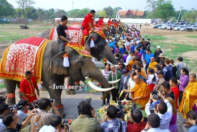 タイで「ゾウの日」祝う 画像