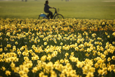 自転車の「春リスク」とは？ 画像