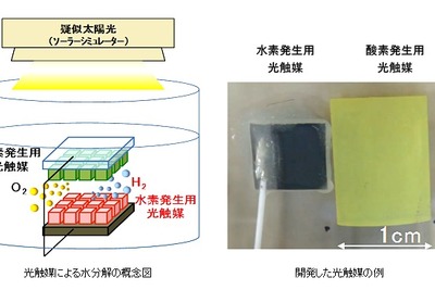 人工光合成で水から水素製造、変換効率2％で世界最高…NEDOなど 画像