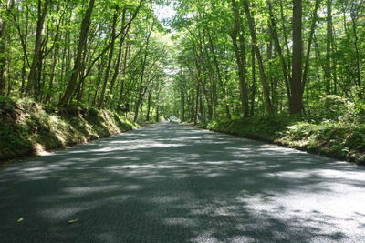 白糸ハイランドウェイ、EVに限り通行無料…森林資源保護へ全国初の試み 画像