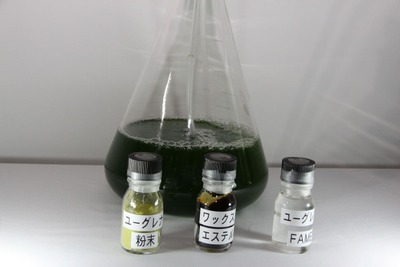 ミドリムシからジェット燃料…ユーグレナ社、米大学と共同培養研究へ 画像