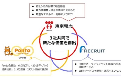 東京電力、リクルートとウェブサービス連携…「Ponta」も貯まる 画像