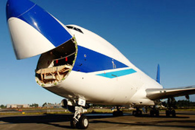 郵船ロジスティクス、イスラム開発局よりハラル認証を取得 画像