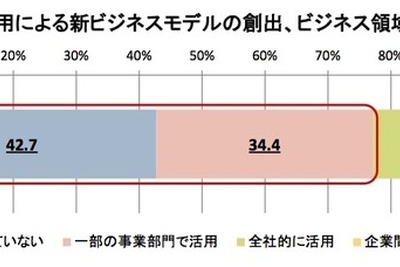 企業での「攻めのIT活用」約2割…経産省実態調査で 画像