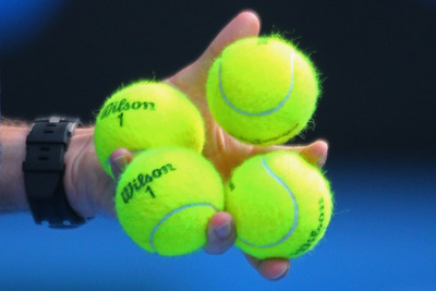 【全仏オープン15】国枝が車いすの部で単複2冠 画像