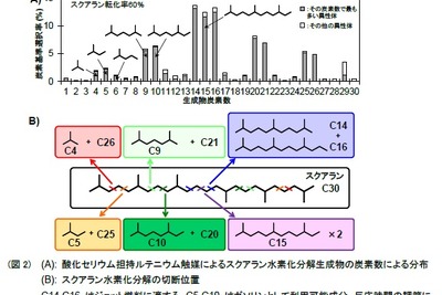 藻類をガソリンやジェット燃料に変換、東北大学など研究チームが新手法 画像