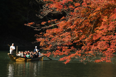 日本の好きなところ、マレーシア人は「自然」が1位 画像