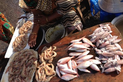 インドの海産物輸出額が過去最高を記録、前年比11％成長 画像