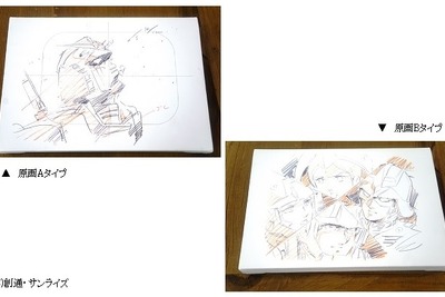 カレーのココイチで1000円分食べて「ガンダム」レアグッズが当たる 画像