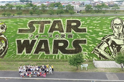 横幅150mのド迫力アート…『スター・ウォーズ』が田んぼに降臨 画像