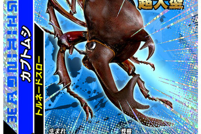 『ムシキング』アーケードゲーム、大ヒットでカード切れ店舗続出 画像