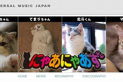 都内猫カフェの有名猫が集結…本物の鳴き声で奏でる本格ユニット 画像
