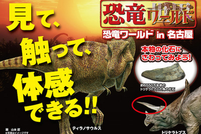 全長7mの動くT-REX、化石にふれあい…名古屋で恐竜博 画像